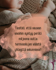 vauvan aivot