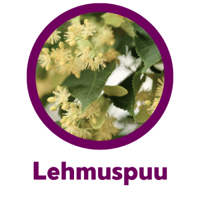 kiintymysvanhemmuus perhekahvila lehmuspuu Kiintymysvanhemmuus perhekahvila lehmuspuu Lappeenranta