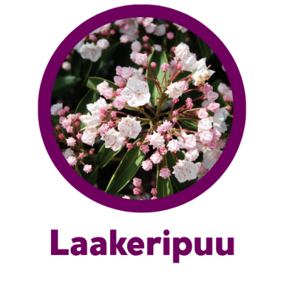 kiintymysvanhemmuus perhekahvila laakeripuu kiintymysvanhemmuus perhekahvila laakeripuu Jyväskylä